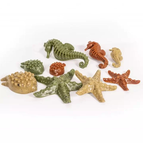 sea creatures & seaweed pack x 7